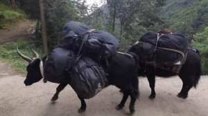 часть 1 - Базовый Лагерь Эвереста Непал - Everest Base Camp