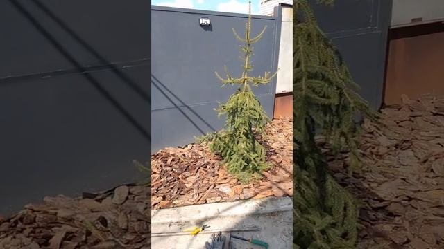 ландшафтный дизайн смотреть онлайн
