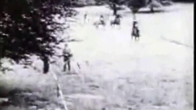 2624243.mp4
