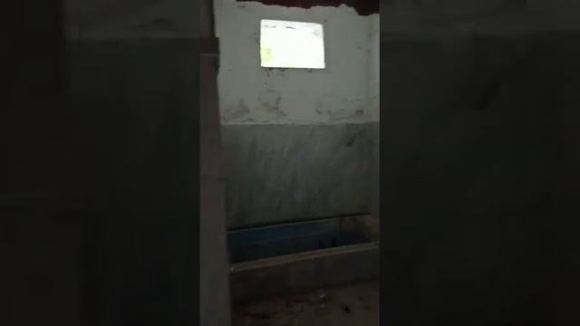 НАСТОЯЩИЕ ВЕДЬМЫ ОТДЫХАЮТ В СУРОВЫХ УСЛОВИЯХ!!! смотреть онлайн