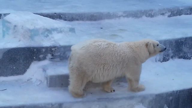 Кай и Герда Дружная семейная пара смотреть онлайн
