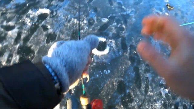 Что это за рыба?! Ловля палии! смотреть онлайн