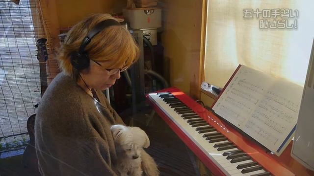 CASIO Privia PX-S1000のペダルの音、聞いてね！〜ブルグミュラーとダンパーペダルについて語る〜 と【大人のピアノ練習】ツェルニー100番24番の練習 смотреть онлайн