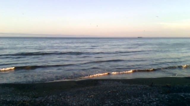 Беренгово море смотреть онлайн