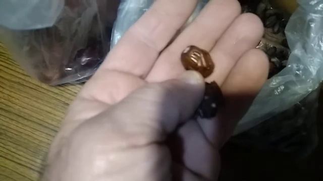 как выглядят различные плоды и семена пальм смотреть онлайн