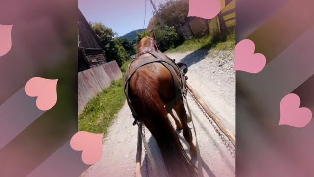 Régi szép emlékek nagyon jó volt köszönöm mindenkinek ❤️❤️ смотреть онлайн