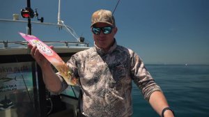 На что ловят камбалу? Познакомьтесь с сериями оснасток для летней рыбалки!"