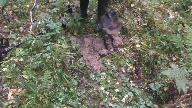 АКА Сигнум и АКА Сорекс - Шурф на разведанном небитом месте / кладоискатель / коп в лесу / коп смотреть онлайн