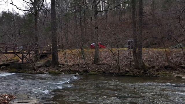 SVT Focus Build смотреть онлайн