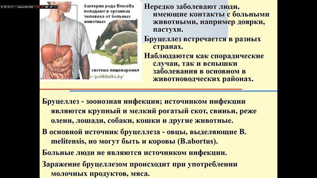 лекция №6 ом готов смотреть онлайн