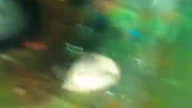 Голубой неон смотреть онлайн