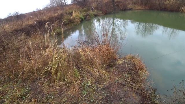 ЖЕНА меня ОБЛОВИЛА! КРУПНЫЕ КАРАСИ на ПОПЛАВОК в ЛУЖЕ! Рыбалка с Женой. смотреть онлайн