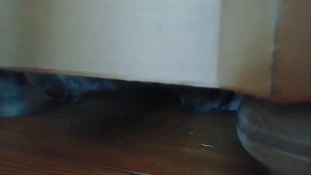 Подкроватный монстр смотреть онлайн