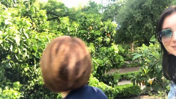 Едрид Мадрид