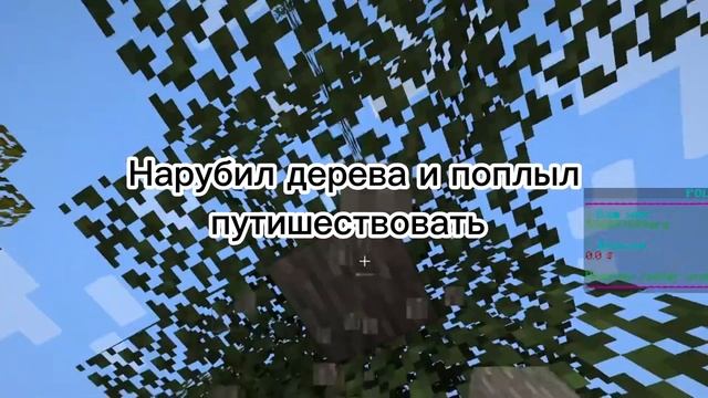 Залетел на полит