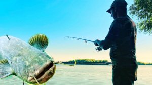 Рыбалка на Оке таких монстров я еще не видел сом 50+кг.