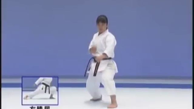 kata with bunkai _ enpi смотреть онлайн