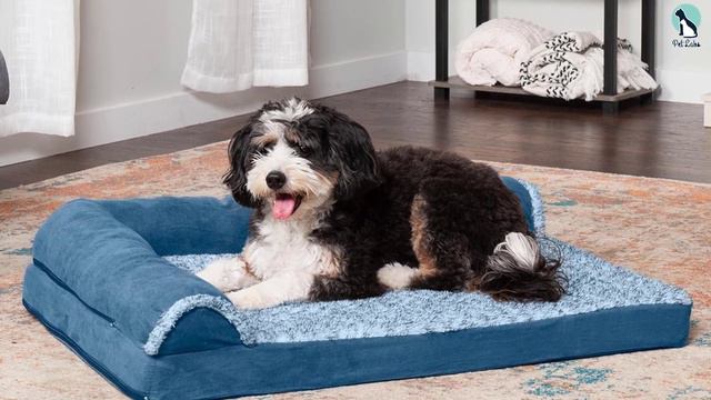 ✅Top 5 Best Dog Beds Of 2024