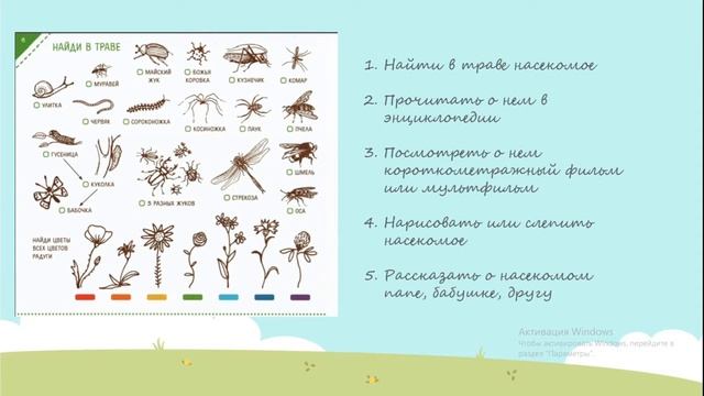 Трансляция/Шаг в будущее/Организация досуга детей в летнее время/Боброва Е.А. смотреть онлайн