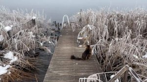 Аксель Франк, хватит охаивать!