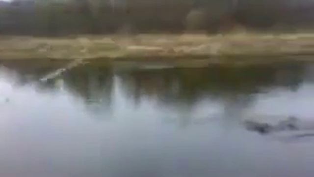 уха есть!!!!! смотреть онлайн