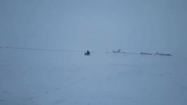 Каркаралы ауданы, Аппаз ауылы самодельный мотоцикл смотреть онлайн