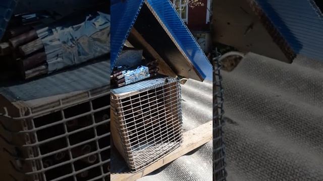 Домик для пчел Осмий. Первый приличный выводок. смотреть онлайн