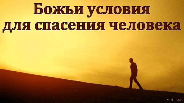 "Божий путь спасения". А. А. Шамне. МСЦ ЕХБ смотреть онлайн