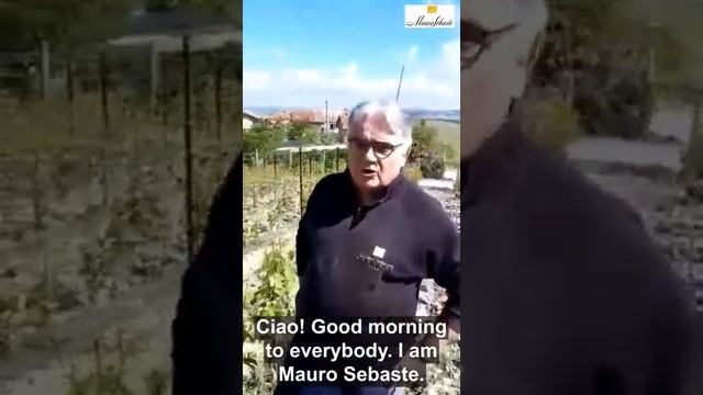 Mauro Sebaste - Presentation of Cru Cerretta in Serralunga d'Alba 2020 смотреть онлайн