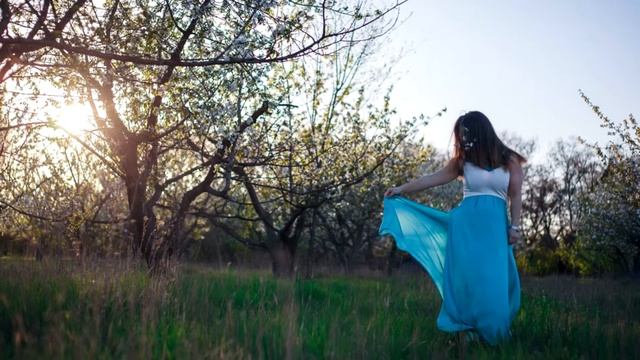 Как работает автофокус фотоаппарата. Как сделать фотографию четкой и резкой. смотреть онлайн