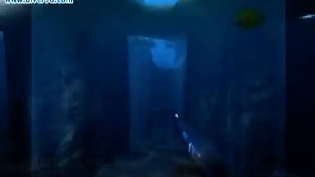 Diver: Deep Water Adventures