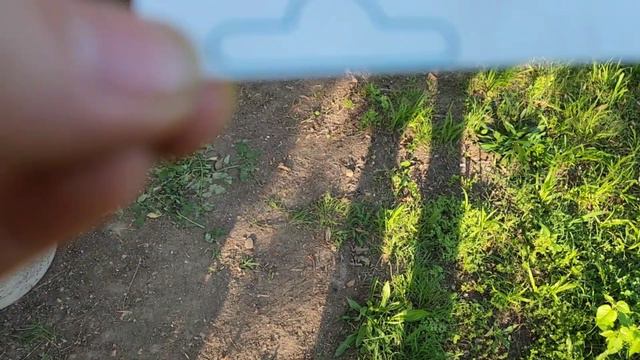Full Container Garden Tour- Late May 2023 смотреть онлайн