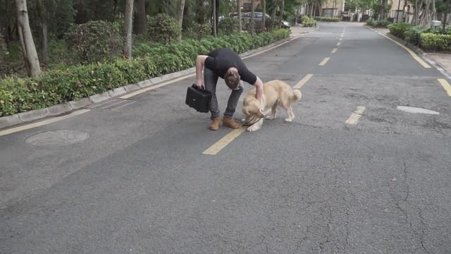 UNSER HUND LUCKY IST GAME MASTER und ZERSTÖRT CHIP IM OHR !!! смотреть онлайн