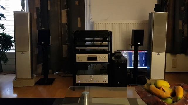 Dali Spektor 1. смотреть онлайн