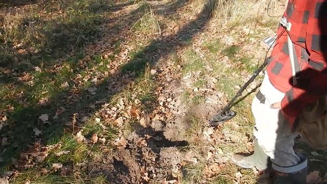 Коп 2022.Пошук монет! Лісові стежки і галявини.Рутус Атрекс. смотреть онлайн