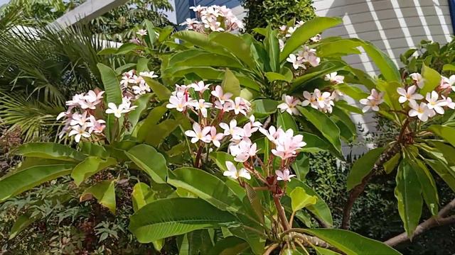 10 de agosto de 2023 смотреть онлайн