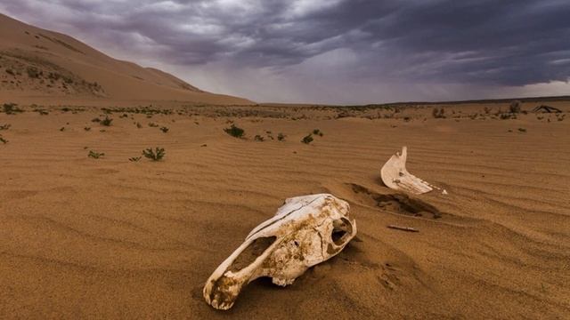 ПРЕСНАЯ ВОДА ИСЧЕЗЛА С ЗЕМЛИ- ЧТО БУДЕТ? смотреть онлайн