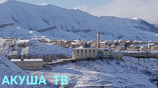 ТУЛКИ смотреть онлайн