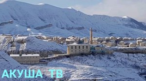 ТУЛКИ