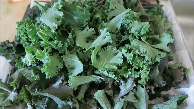 Огород - черенкование лаванды, заготовка земляники и кейла /Garden 2017 18 смотреть онлайн