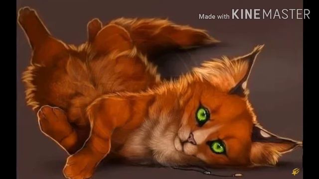 Песни в головах Котов Воителей смотреть онлайн