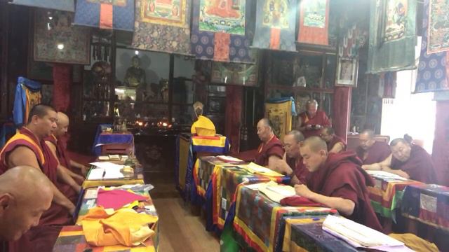 ОТОШО, Цедо, Уваа Юрөөл 26.07.2023🕙10:00