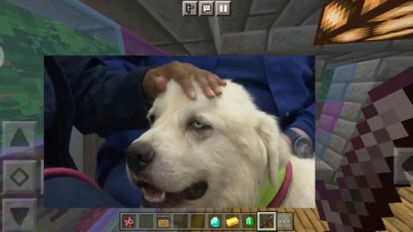 descargar jenny mod 1.20.1