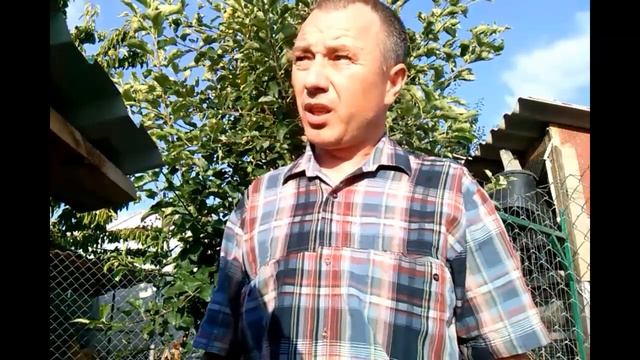 Курица наседка Как поступить чтобы квочка перестала сидеть на яйцах смотреть онлайн