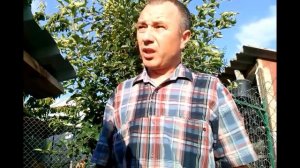 Курица наседка  Как поступить чтобы квочка перестала сидеть на яйцах