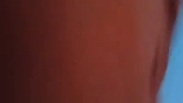 Как видит мир собака? смотреть онлайн