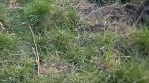 Экспресс  ремонт реле-регулятора на генераторе.