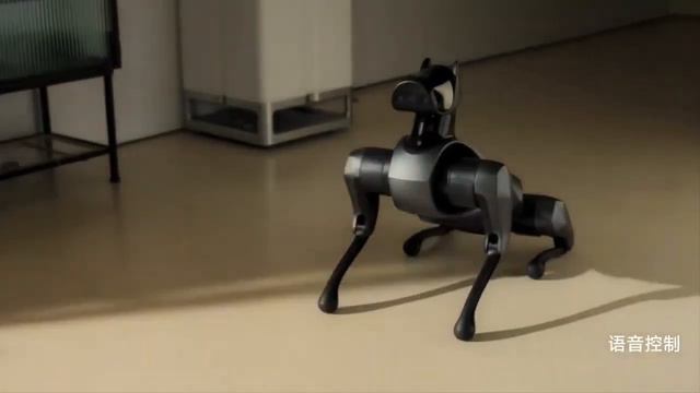 Xiaomi CyberDog 2 #technology #robots #технологии
