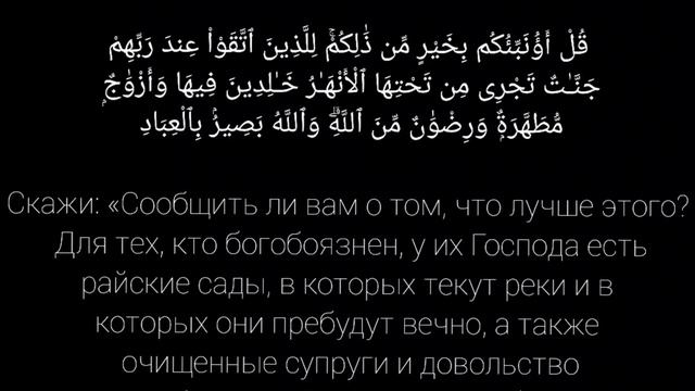 Мухаммад-Шариф Эльджаркиев, сура № 3 - "Семейство Имрана", аяты 15-18 смотреть онлайн