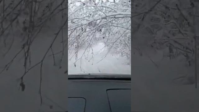 Как вам такой туннель_ #shorts #car #offroad #toyota #авто